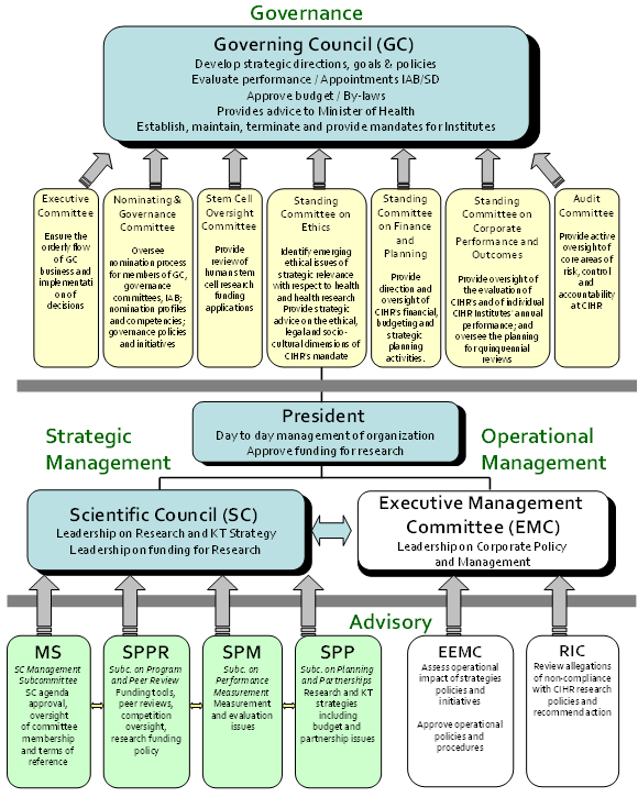committee structure diagram