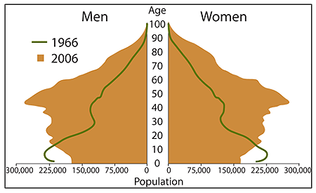 Aging Population Pyramid