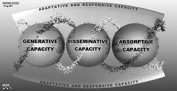 The Dynamic Knowledge Transfer Capacity Model