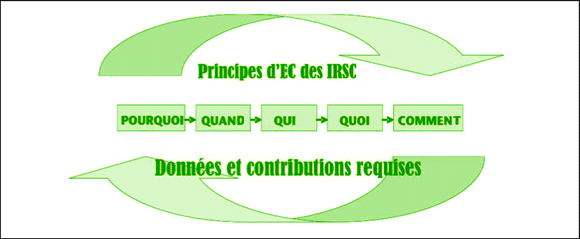 Figure 6 : Questions de l'arbre décisionnel pour l'EC