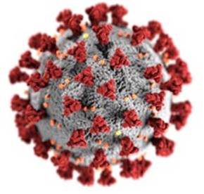 Illustration of the ultrastructure of the COVID-19 virus