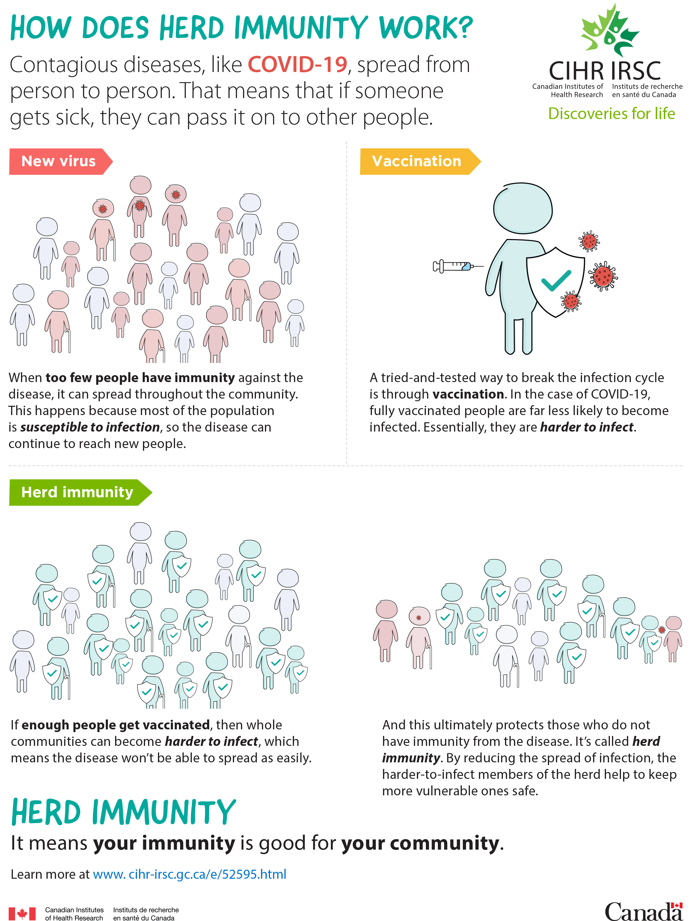 Infographic: How does herd immunity work?