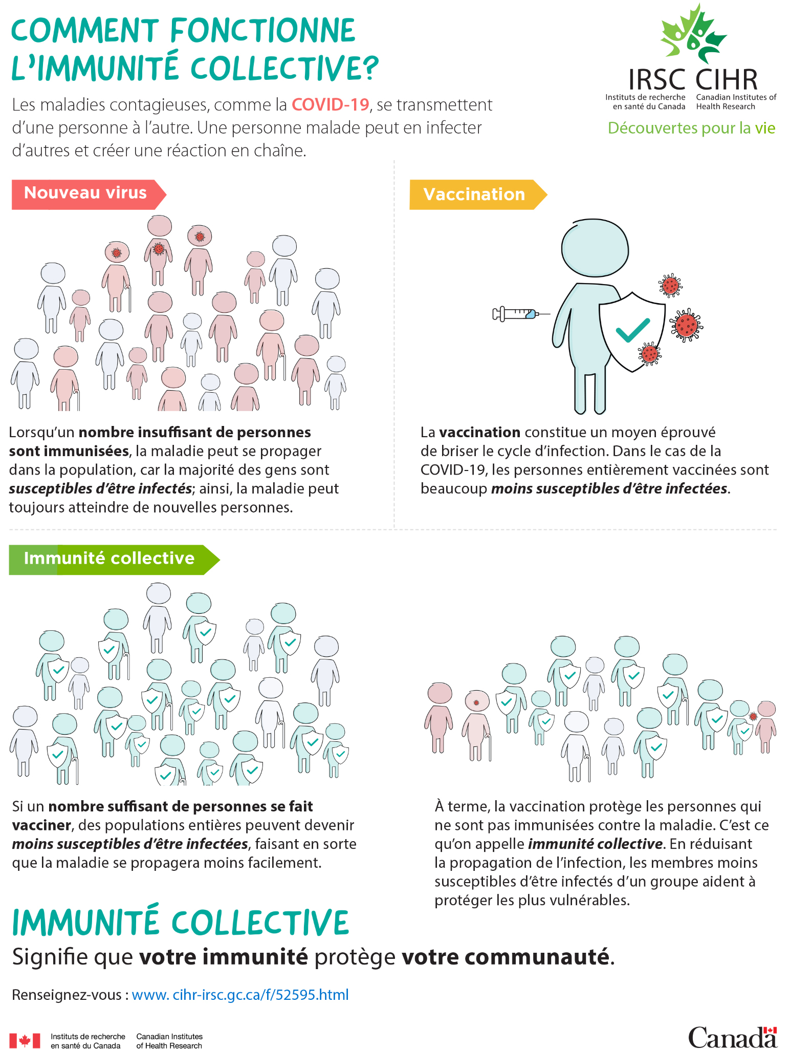 Infographie : Comment fonctionne l'immunité collective?