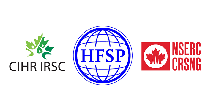 Canadian Institutes of Health Research, Natural Sciences and Engineering Research Council of Canada, in partnership with the Human Frontier Science Program Organization (HFSPO)