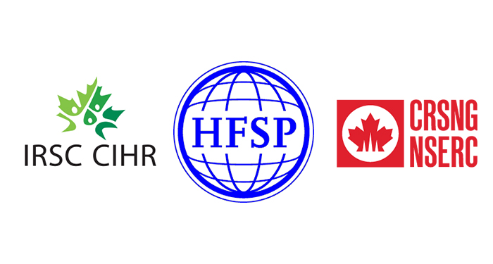Les Instituts de recherche en santé du Canada et le Conseil de recherches en sciences naturelles et en génie du Canada, en partenariat avec l'International Human Frontier Science Program Organization (HFSPO)