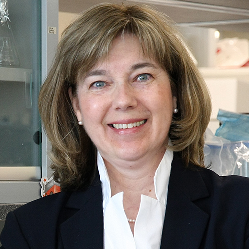 Dr. Jane Rylett, Scientific Director, CIHR Institute of Aging