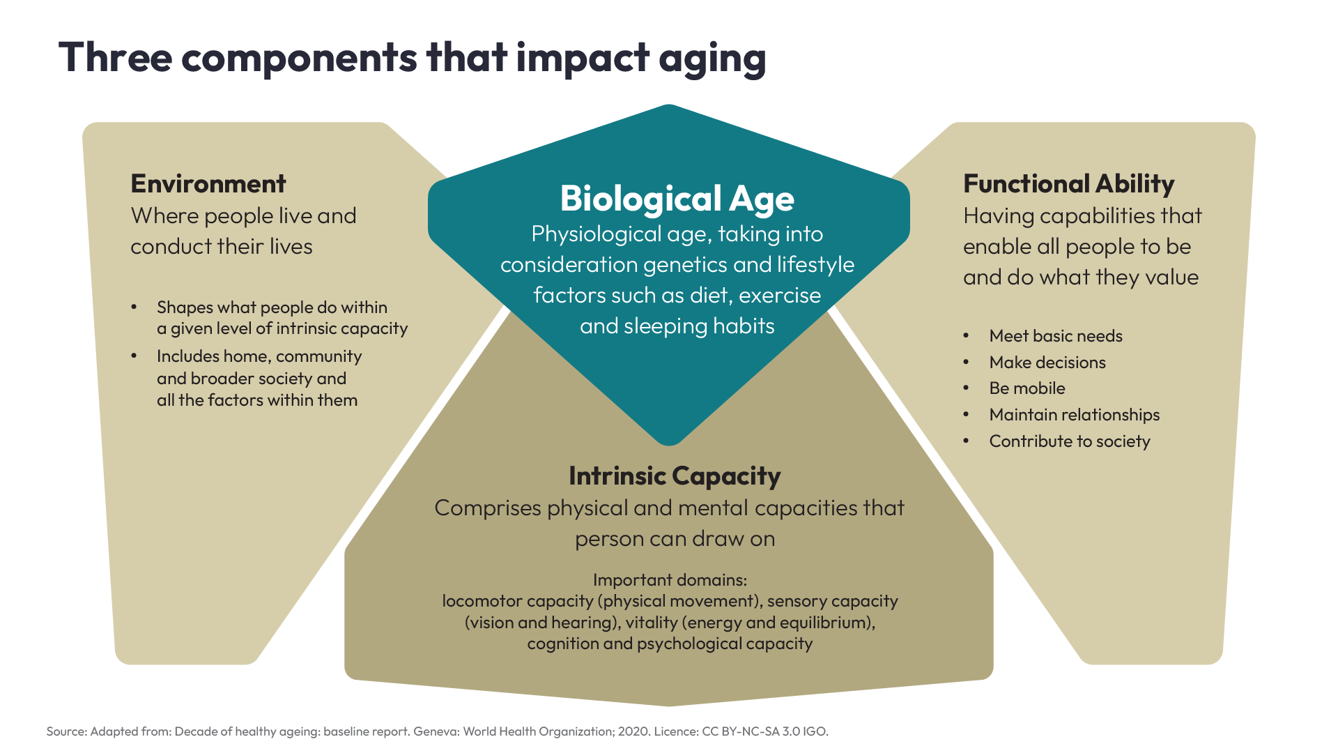 Components that impact aging