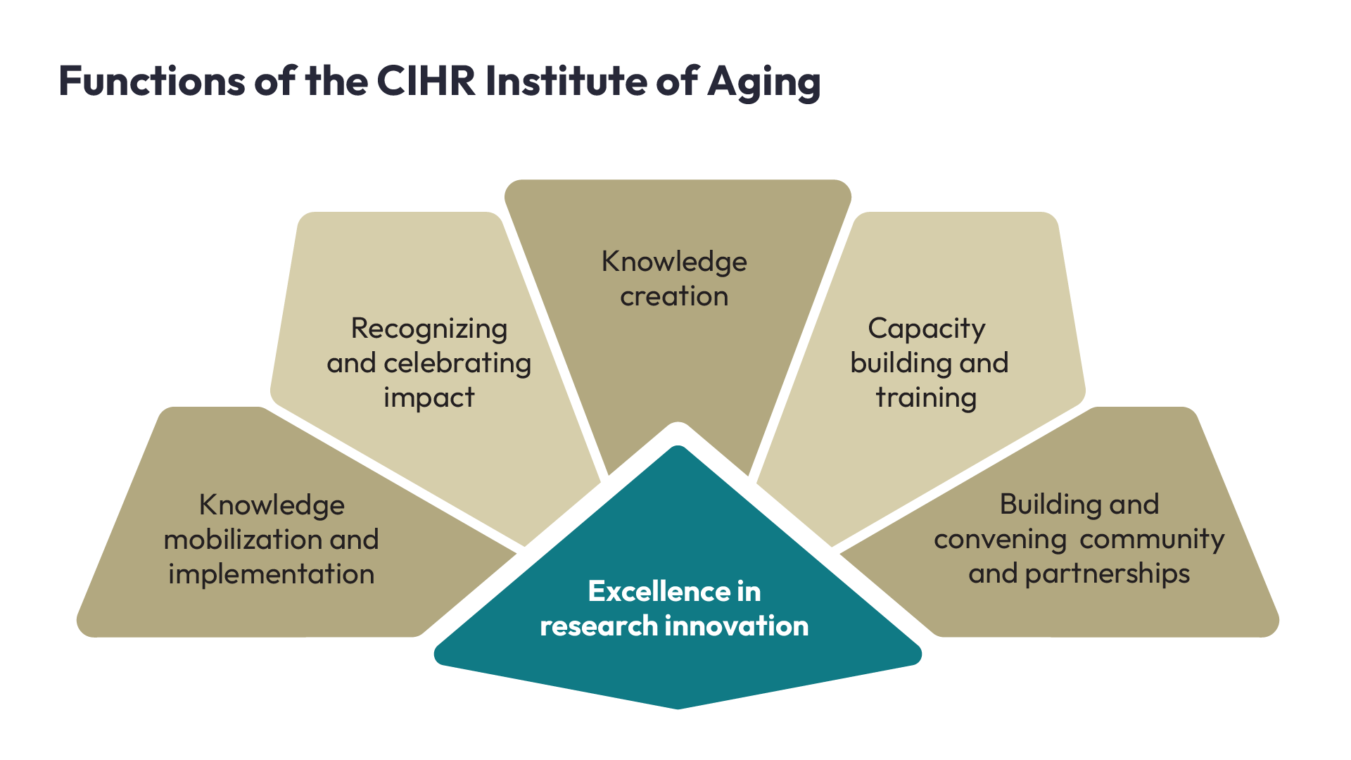 Functions of the CIHR Institute of Aging