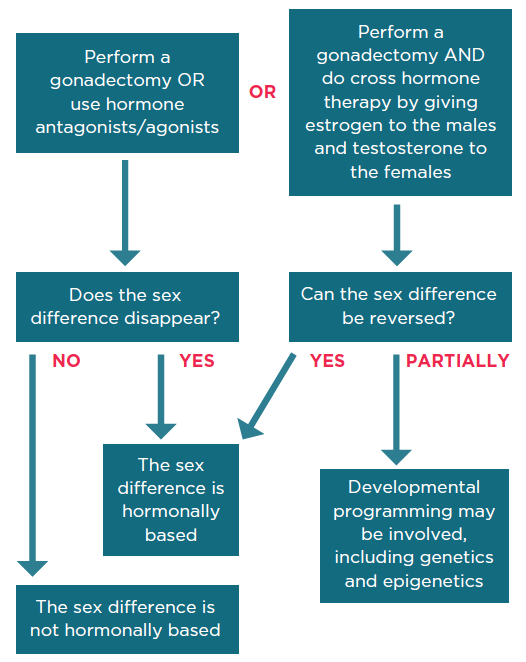 Meet The Methods Series Measuring And Manipulating Sex Hormones In 9237