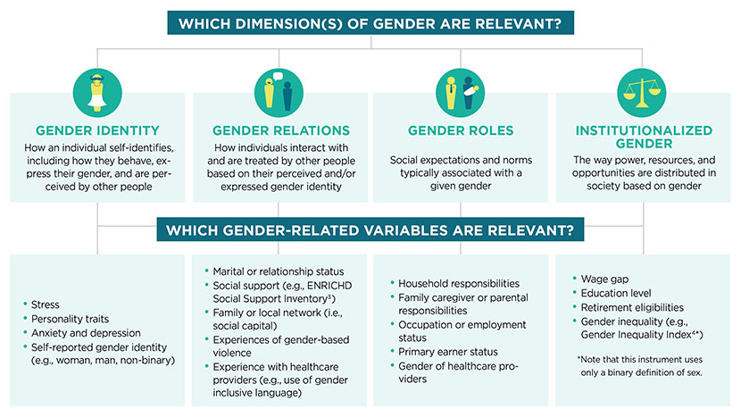 A flow chart describing the dimensions of gender and examples of gender-related variables. At the top of the chart, white text in a dark blue box reads: “Which dimension(s) of gender are relevant?” Four branches extend towards four icons inside turquoise circles, representing the dimensions of gender. Gender identity is represented by an icon of a gender-neutral person with a moustache, wearing a pink necklace and a white skirt. Gender relations are represented by two gender-neutral people talking, one with a speech bubble extending from their mouth. Gender roles are represented by two gender-neutral people. One is wearing a tie, and the other is holding a baby wrapped in a white blanket. Institutionalized gender is represented by a traditional scale, with two plates suspended from a fulcrum. Below the dimensions of gender, four arrows extend towards a list of gender-related variables. Above this list, white text in a dark blue box that reads: “Which gender-related variables are relevant?”