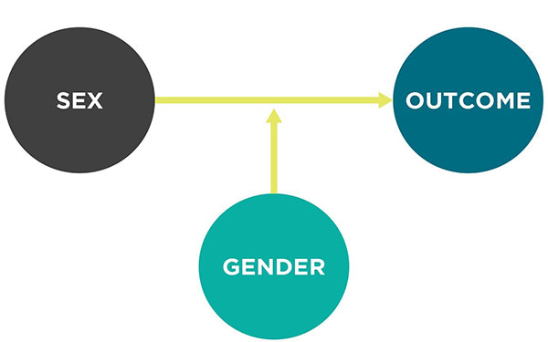On the left is a dark gray circle with text that reads “sex.” On the right is a dark blue circle with text that reads “outcome.” A yellow arrow extends from “sex” to “outcome.” Below this arrow is a turquoise circle with text that reads “gender.” A yellow arrow extends from “gender” to the arrow connecting “sex” and “outcome.”