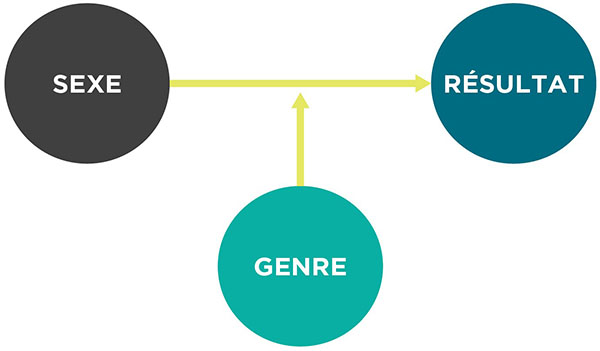 À gauche se trouve un cercle gris foncé avec un texte indiquant « sexe ». À droite se trouve un cercle bleu foncé avec un texte indiquant « résultat ». Une flèche jaune s'étend de « sexe » à « résultat ». Sous cette flèche se trouve un cercle turquoise avec un texte indiquant « genre ». Une flèche jaune s'étend de « genre » à la flèche reliant « sexe » et « résultat ».