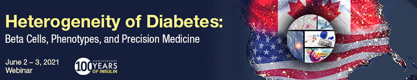 Heterogeneity of Diabetes: Beta Cells, Phenotypes and Precision Medicine