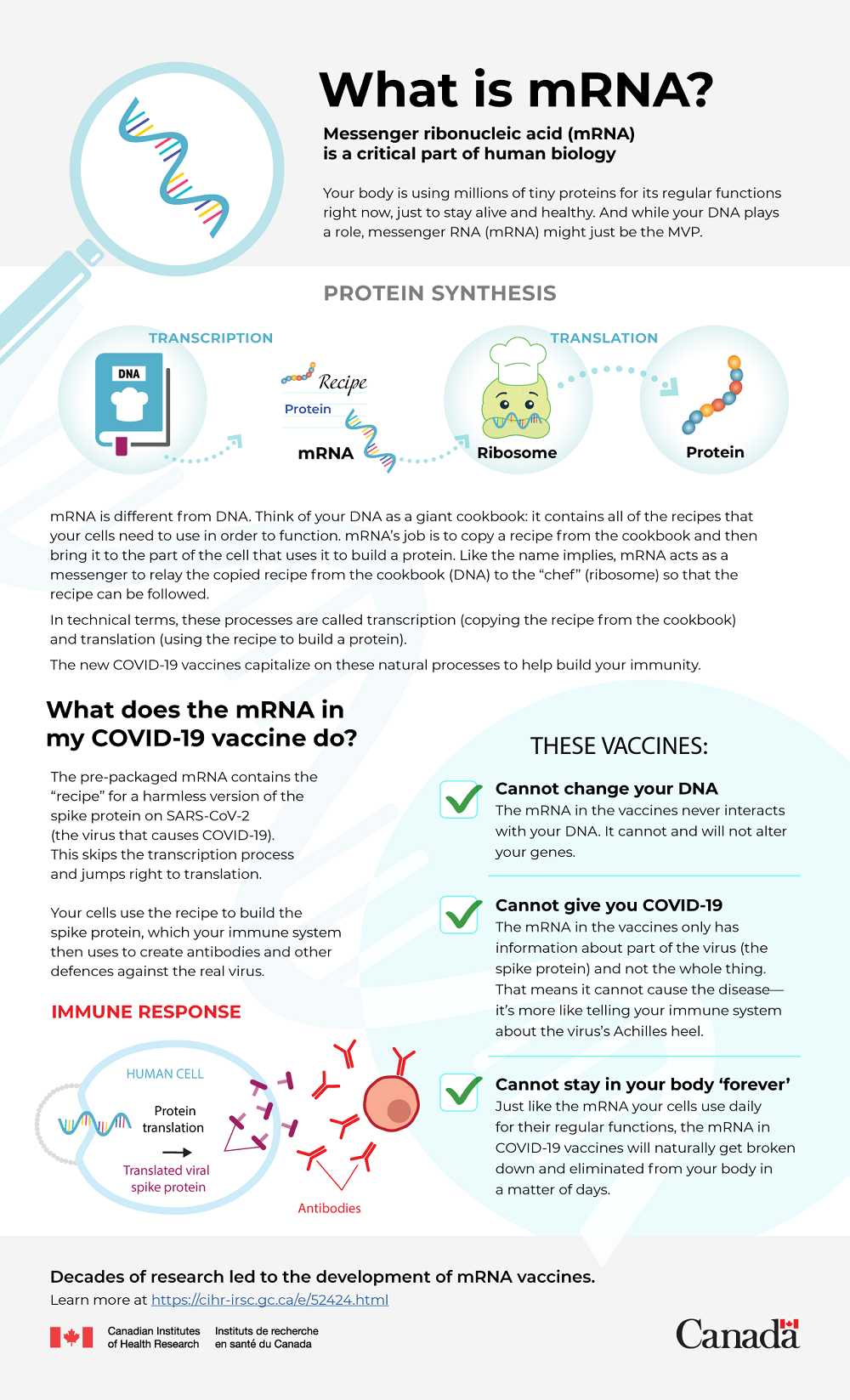 Infographic: What is mRNA?